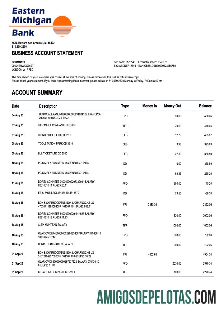 Premium US Eastern Michigan organization checking rekening laporan Word and PDF templat
