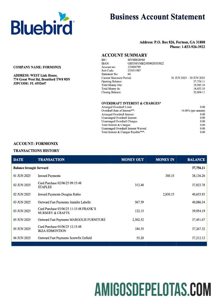Premium AS Bluebird firm rekening laporan Word and PDF templat