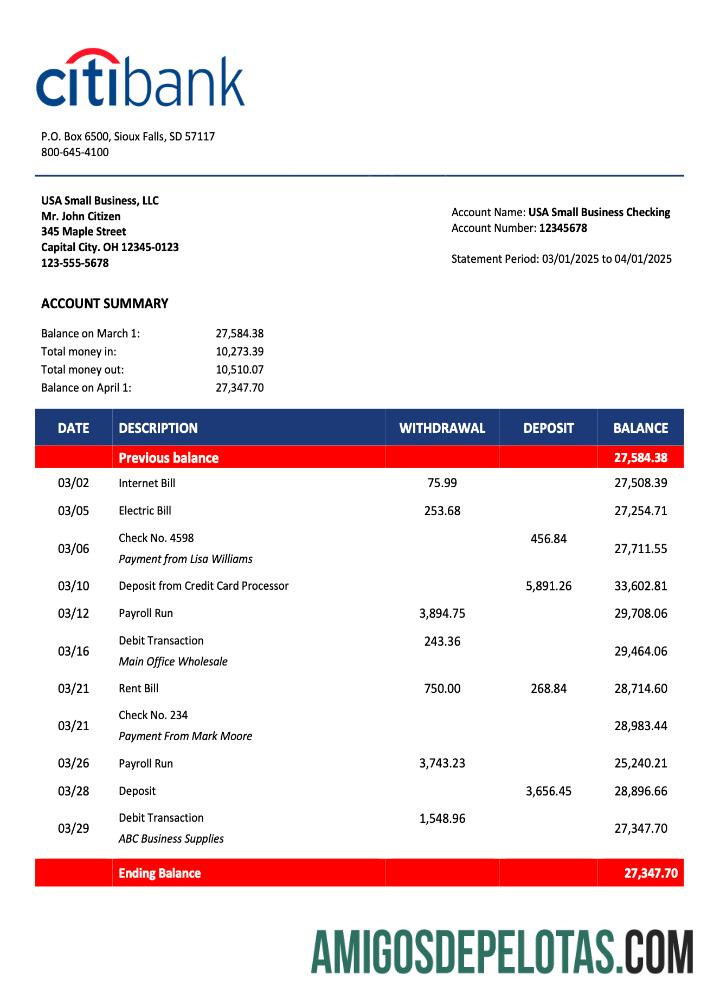 Profesional AS Citibank organization laporan Word and PDF templat