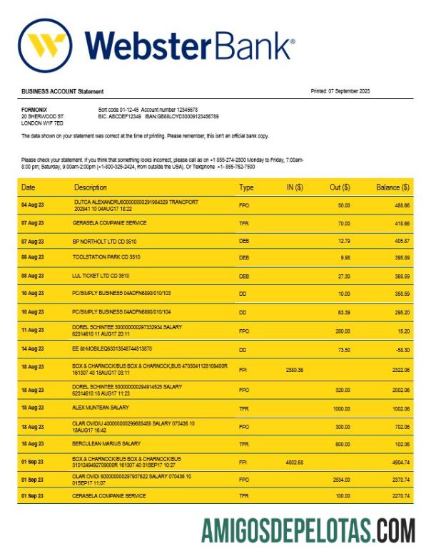 Berkualitas Webster bank bisnis laporan Word and PDF templat