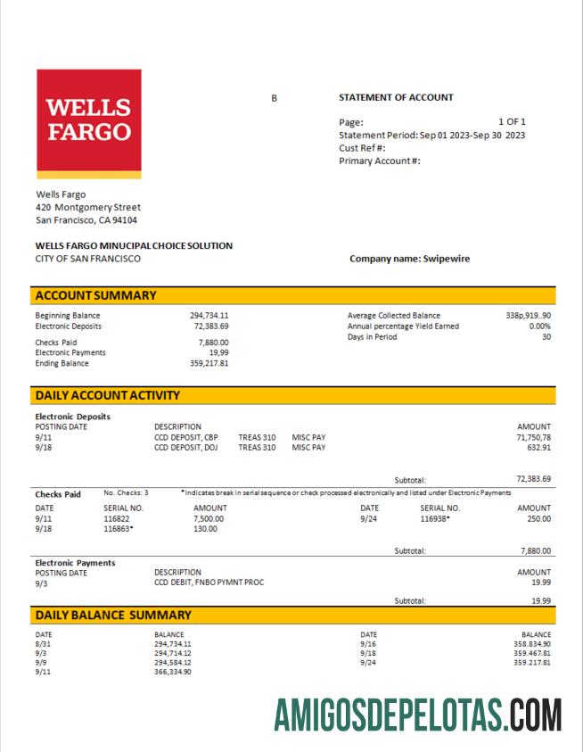 Premium Wells Fargo bisnis rekening laporan Word and PDF templat