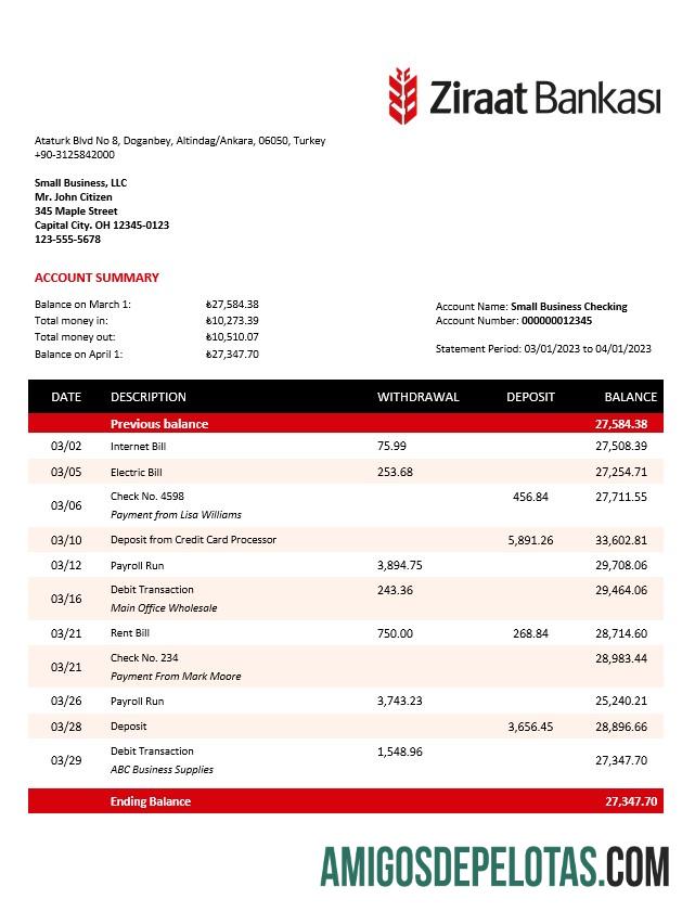 Berkualitas Ziraat Bankasi bisnis checking rekening laporan Word and PDF templat