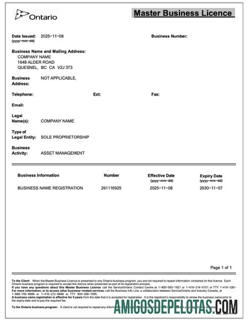 Premium Kanada Ontario master bisnis licence Word and PDF templat