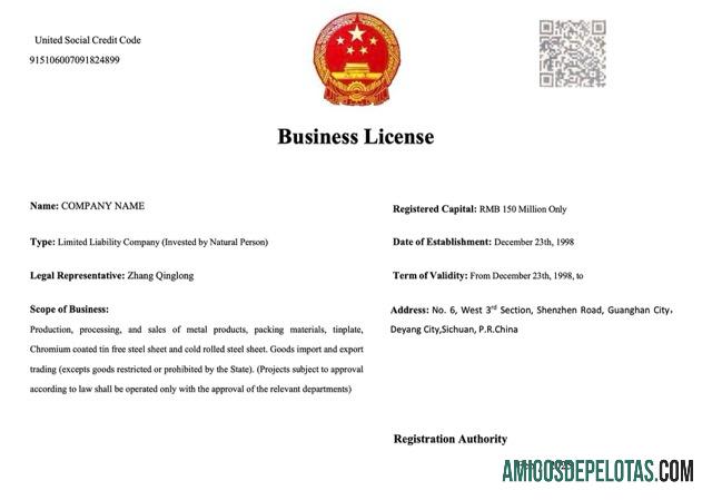 Profesional Tiongkok bisnis lisensi Word and PDF templat