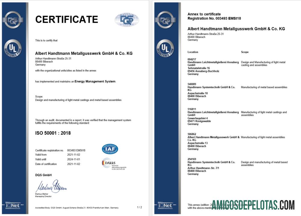 Dapat Diedit Jerman DQS sertifikat of pendaftaran Word and PDF templat