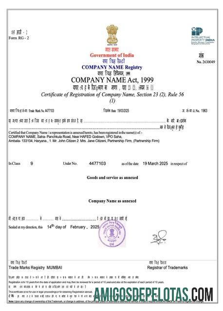 Profesional India sertifikat of pendaftaran Word and PDF templat, versi 3