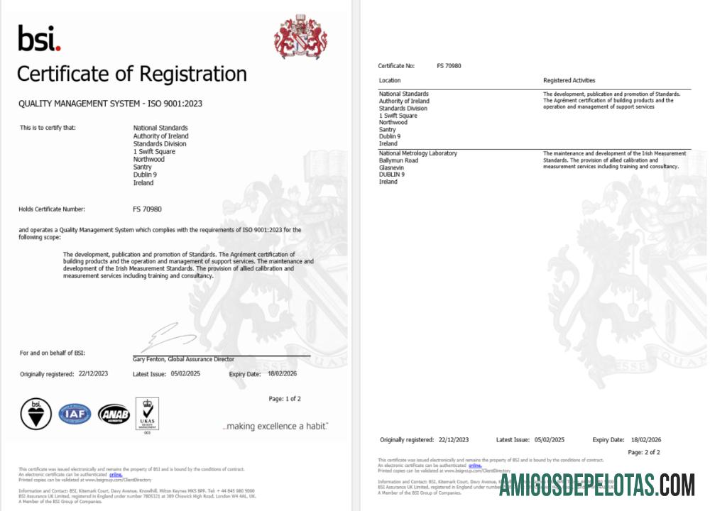 Profesional Irlandia Dublin BSI sertifikat of pendaftaran Word and PDF templat