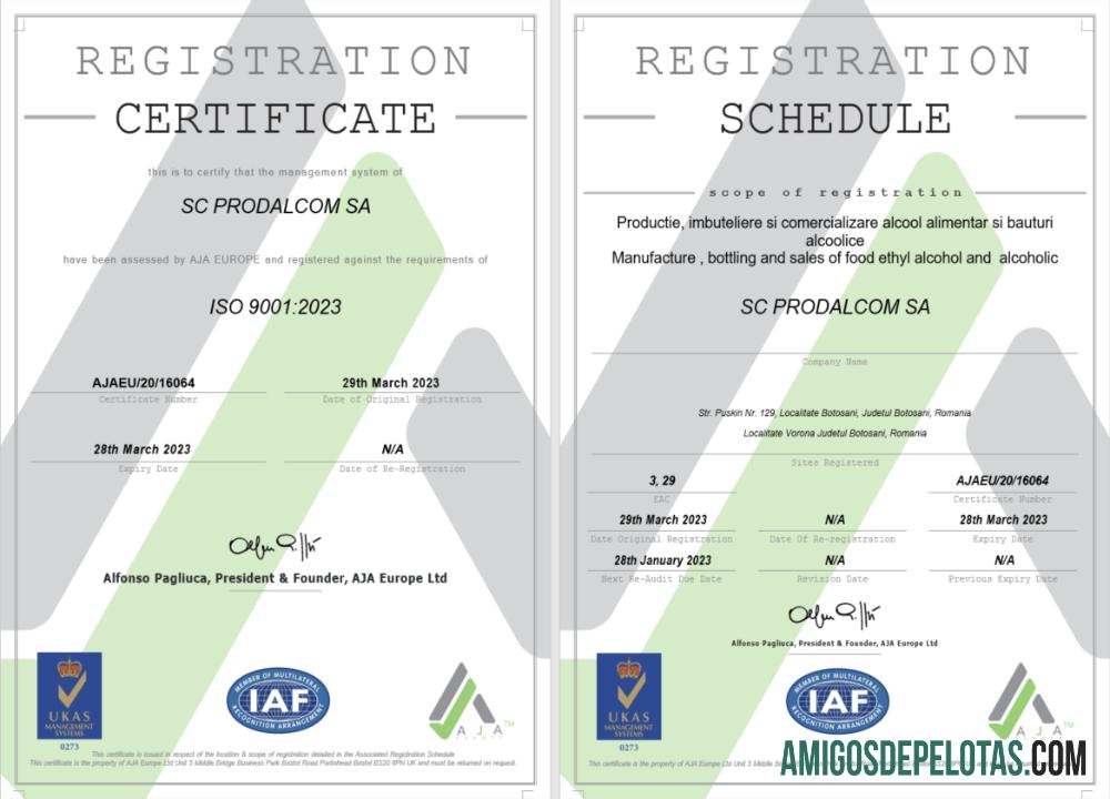 Dapat Diedit Italia sertifikat of pendaftaran Word and PDF templat