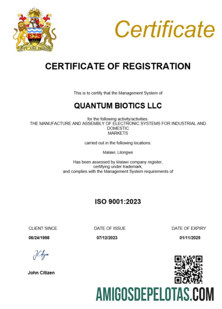 Profesional Malawi bisnis pendaftaran sertifikat Word and PDF templat