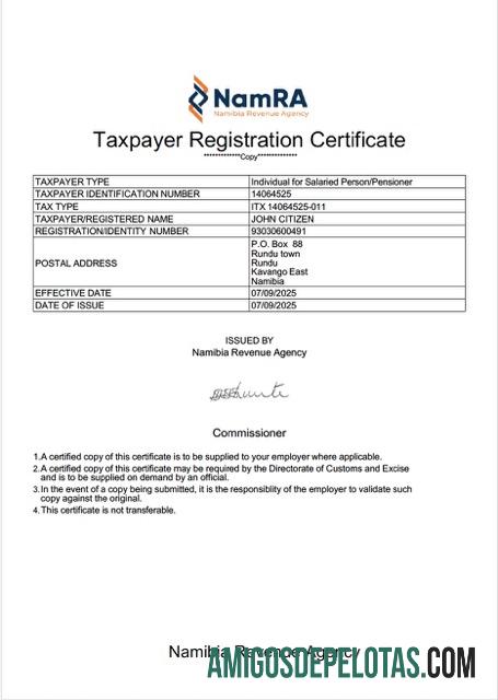 Realistis Namibia┬átaxpayer pendaftaran sertifikat Word and PDF templat