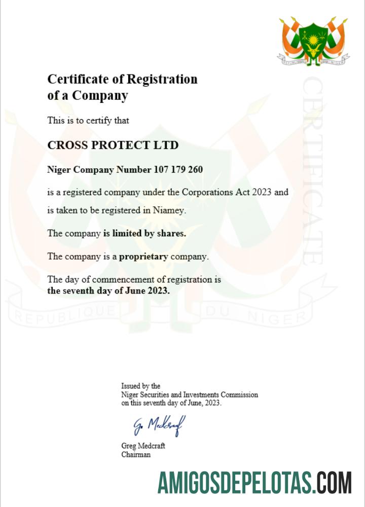 Profesional Niger bisnis pendaftaran sertifikat Word and PDF templat