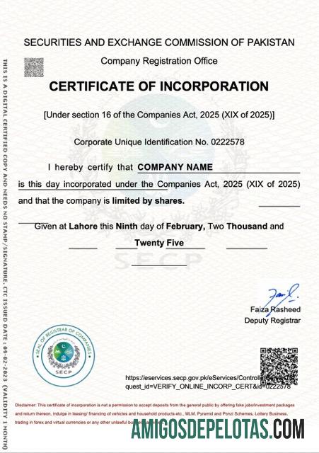 Realistis Pakistan sertifikat of incorporation Word and PDF templat