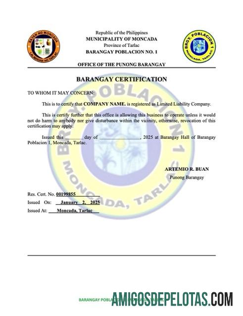 Profesional Filipina Barangay Sertifikasi of pendaftaran Word and PDF templat