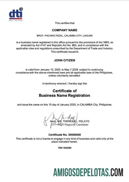 Berkualitas Filipina Calamba sertifikat of bisnis name pendaftaran Word and PDF templat