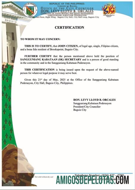 Realistis Filipina sertifikat of good standing Word and PDF templat, versi 8