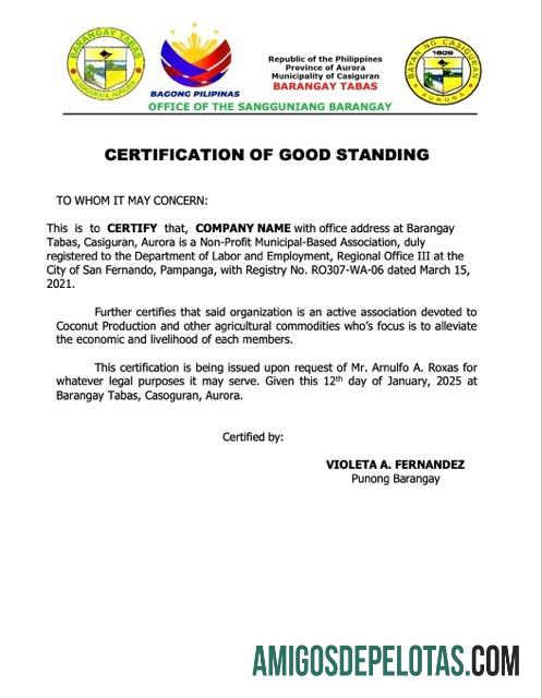 Dapat Diedit Filipina Sertifikasi of good standing Word and PDF templat, versi 4