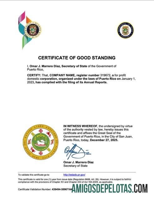 Berkualitas Puerto Riko sertifikat of good standing Word and PDF templat
