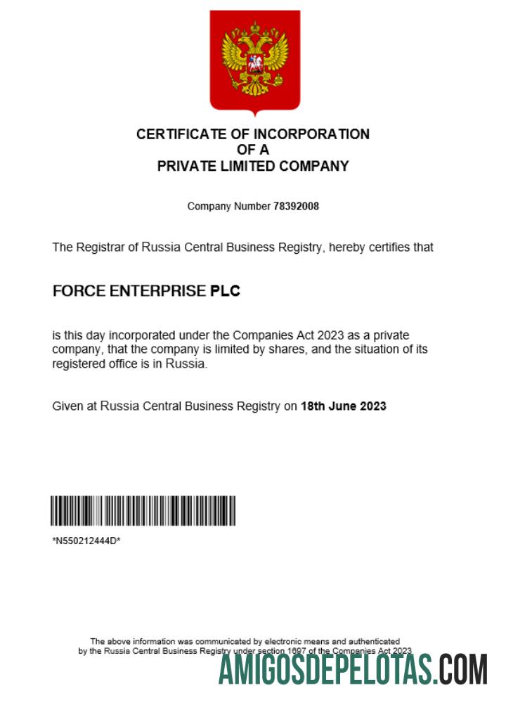 Realistis Rusia bisnis pendaftaran sertifikat Word and PDF templat