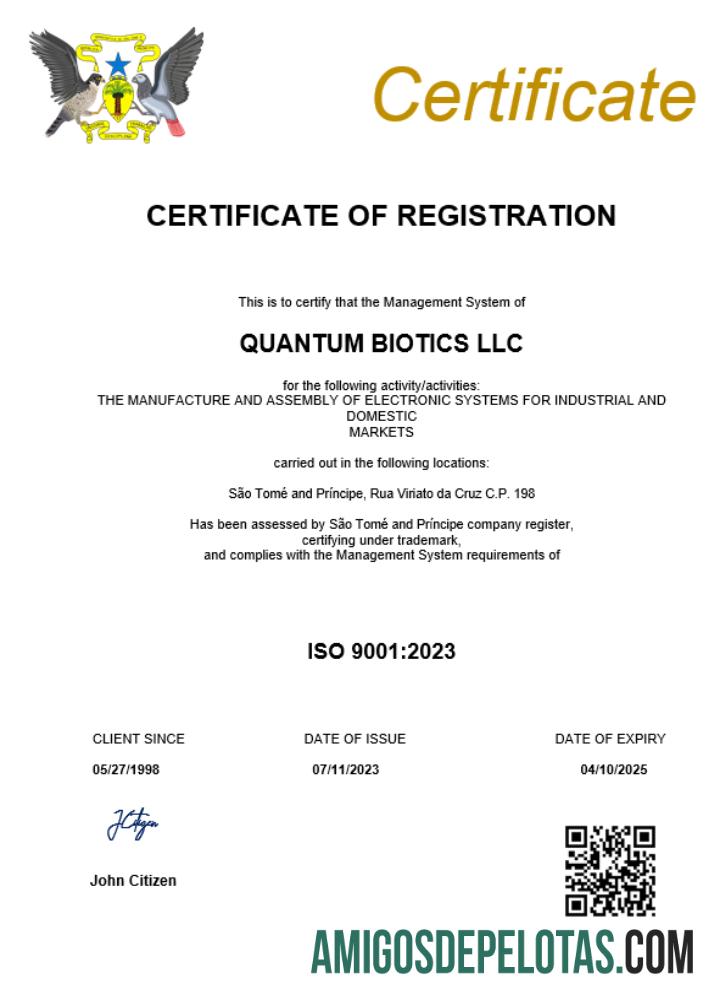 Profesional Sa╠âo Tome╠ü and Pri╠üncipe bisnis pendaftaran sertifikat Word and PDF templat