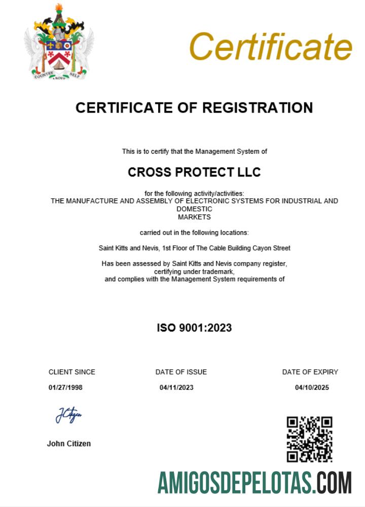 Realistis Saint Kitts and Nevis bisnis pendaftaran sertifikat Word and PDF templat