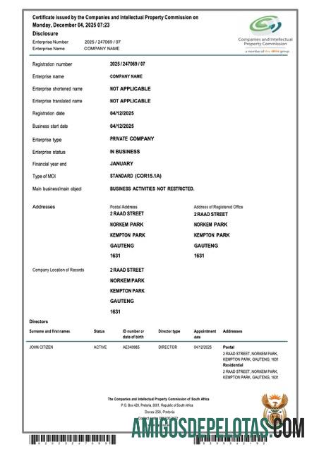 Berkualitas Afrika Selatan sertifikat of Perusahaan pendaftaran Word and PDF templat