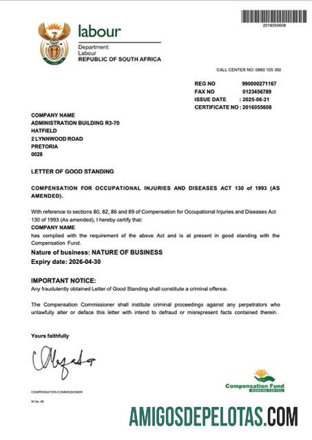 Premium Afrika Selatan Surat of good standing Word and PDF templat
