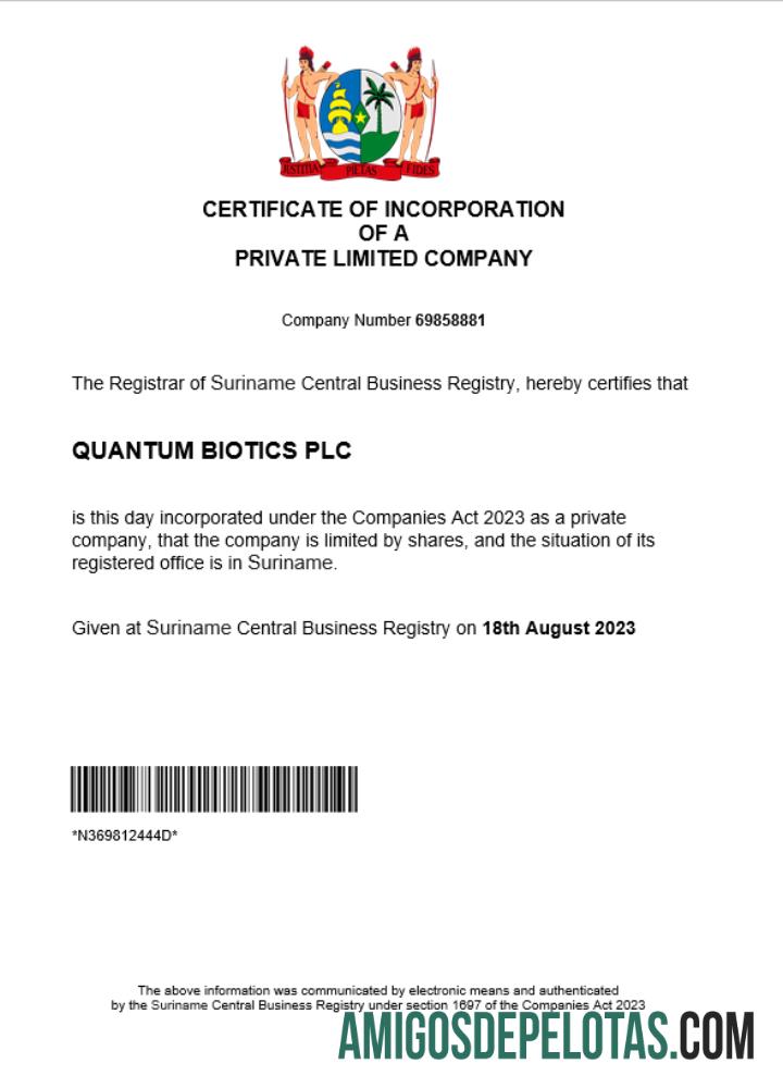Premium Suriname bisnis pendaftaran sertifikat Word and PDF templat