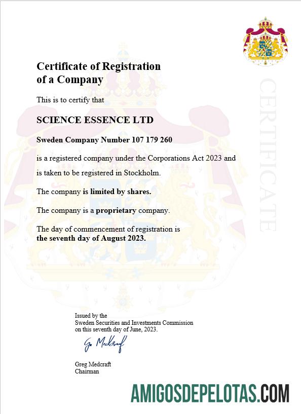 Profesional Swedia bisnis pendaftaran sertifikat Word and PDF templat