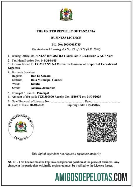 Premium Tanzania bisnis licence Word and PDF templat
