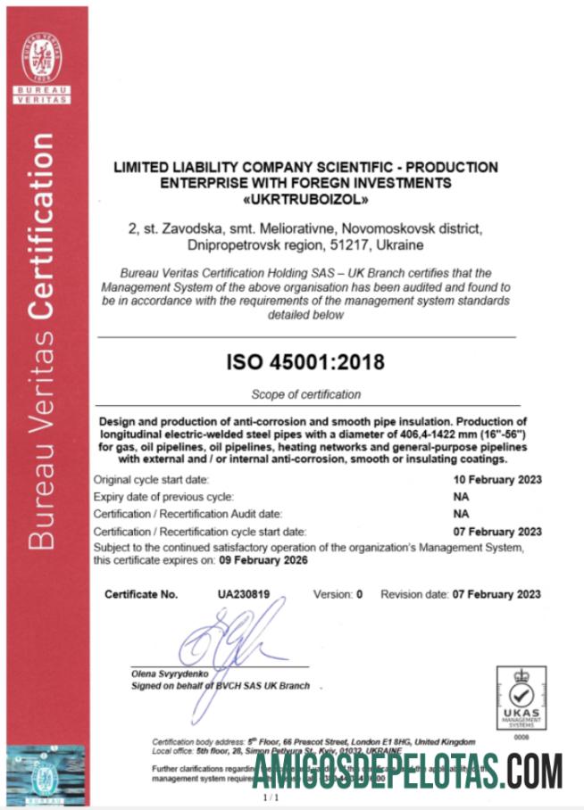 Berkualitas Inggris Bureau Veritas ceritificate of bisnis pendaftaran Word and PDF templat