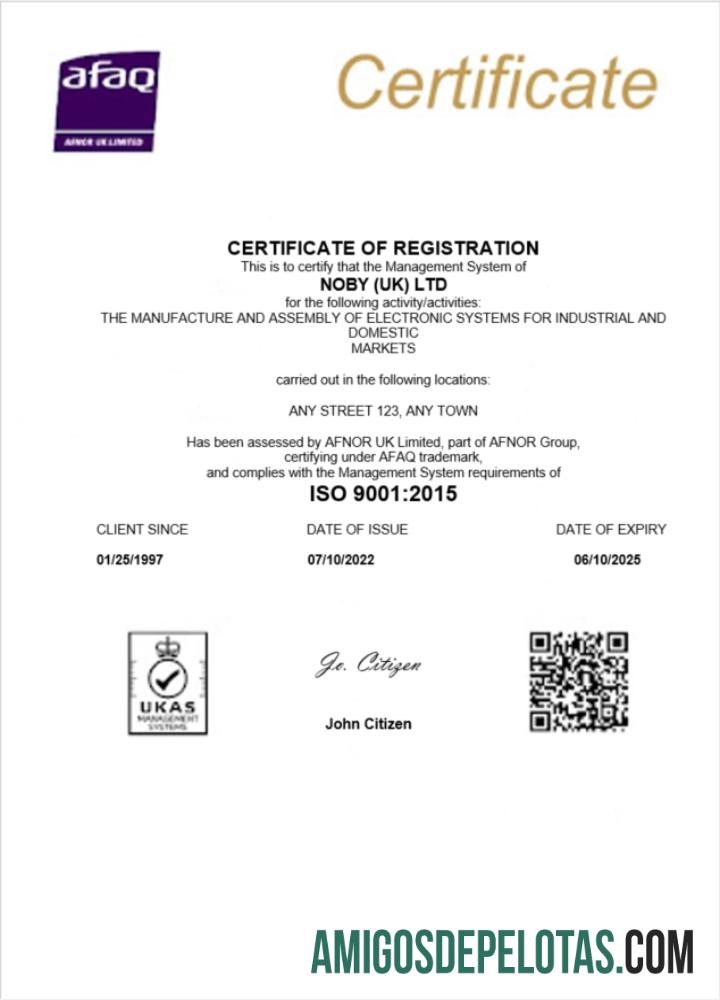 Premium Inggris Noby Ltd sertifikat of bisnis pendaftaran Word and PDF templat