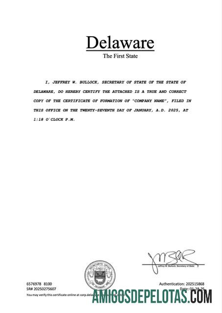 Premium AS Delaware pendaftaran sertifikat Word and PDF templat