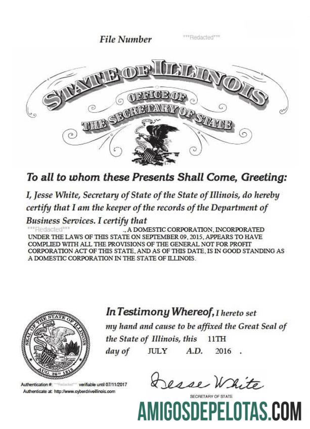 AS Illinois sertifikat of good standing templat