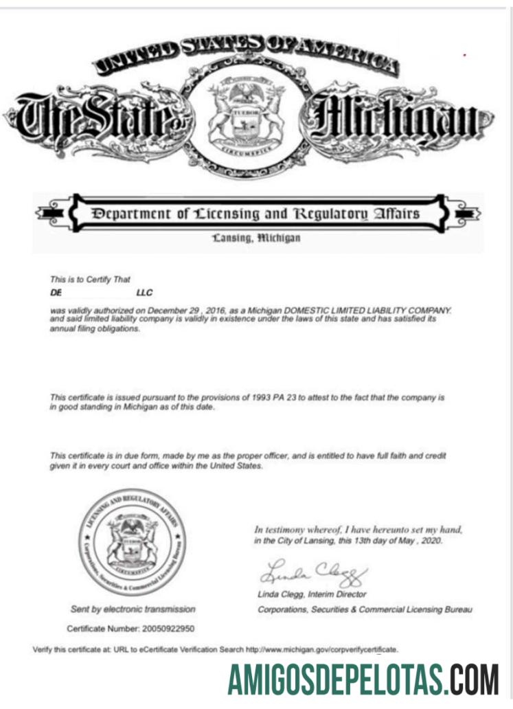 AS Michigan sertifikat of good standing desain