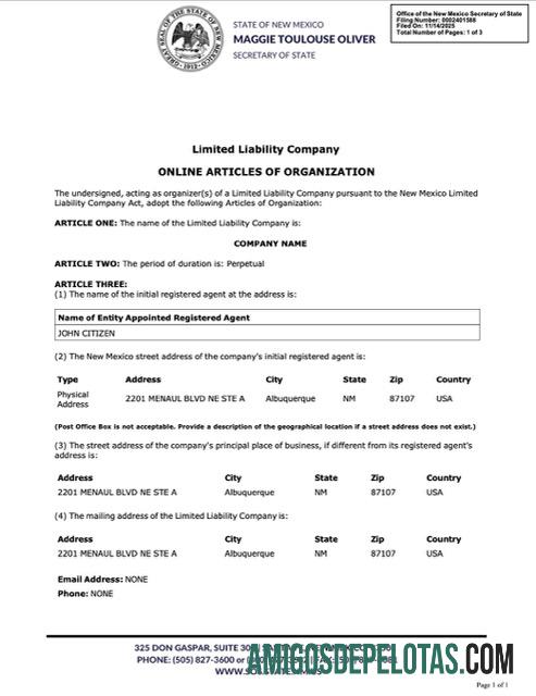 Realistis AS Baru Meksiko┬áonline articles of organization Word and PDF templat