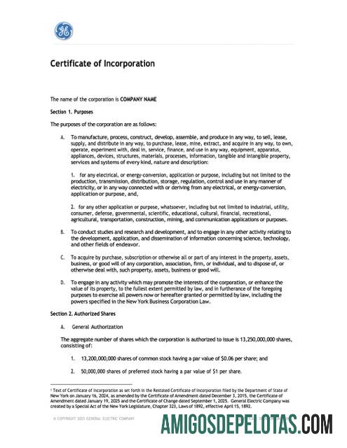 Premium AS Baru York sertifikat of incorporation Word and PDF templat