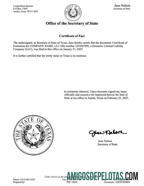Dapat Diedit AS Texas sertifikat of fact Word and PDF templat