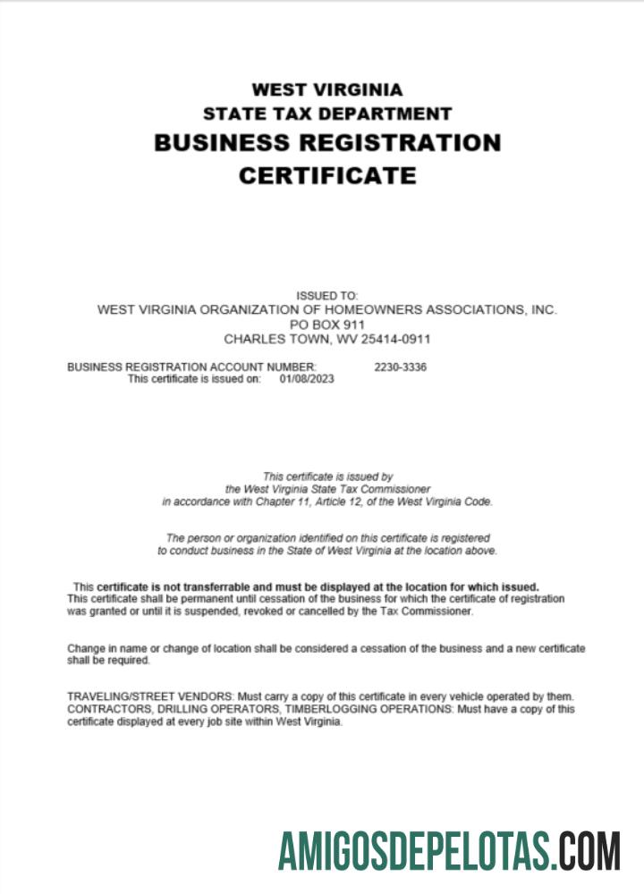 Profesional AS West Virginia sertifikat of Perusahaan pendaftaran Word and PDF templat