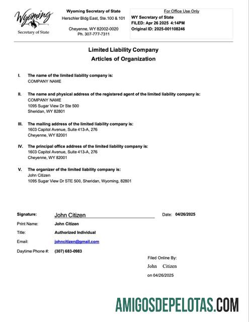 Realistis AS Wyoming articles of organization Word and PDF templat
