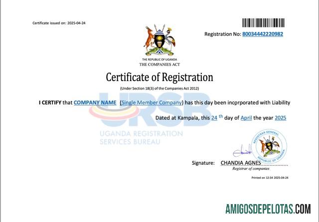 Realistis Uganda Perusahaan pendaftaran sertifikat Word and PDF templat