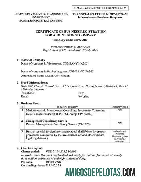 Profesional Vietnam sertifikat of bisnis pendaftaran Word and PDF templat