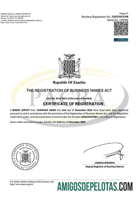 Profesional Zambia sertifikat of bisnis name pendaftaran Word and PDF templat