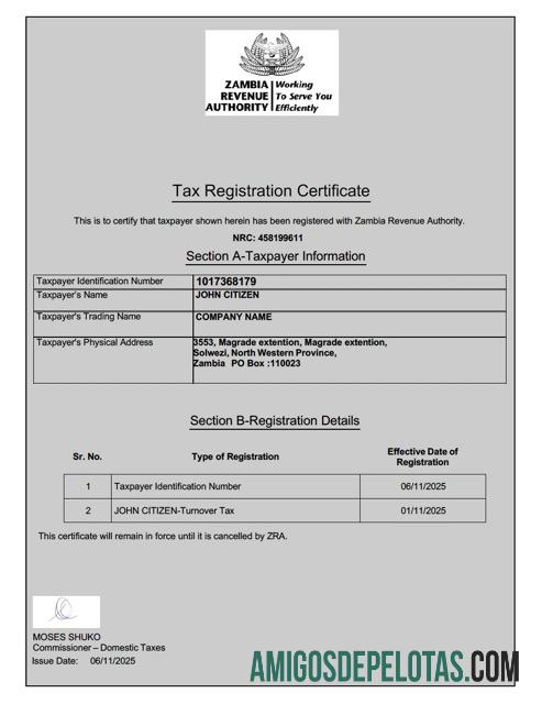 Profesional Zambia pajak pendaftaran sertifikat Word and PDF templat