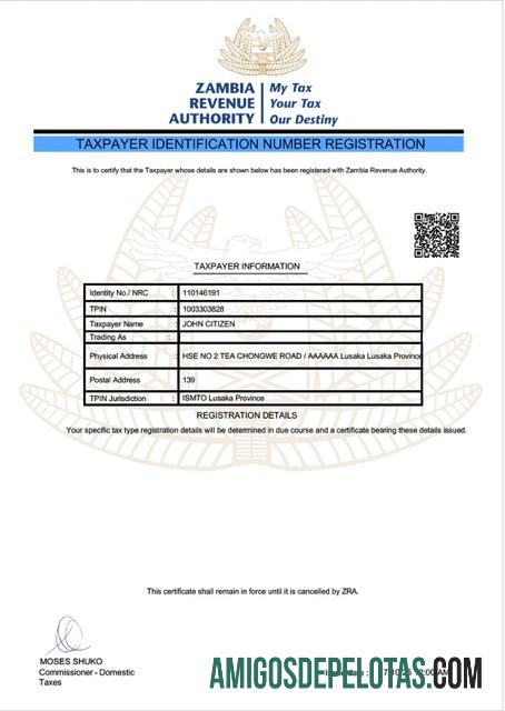 Profesional Zambia taxpayer identifikasi number pendaftaran Word and PDF templat