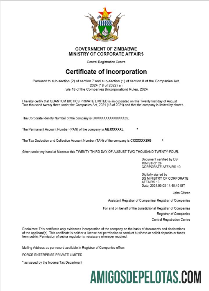 Berkualitas Zimbabwe bisnis pendaftaran sertifikat Word and PDF templat