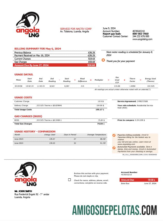 Dapat Diedit Angola LNG proof of address bisnis Tagihan Tagihan templat in Word and PDF format