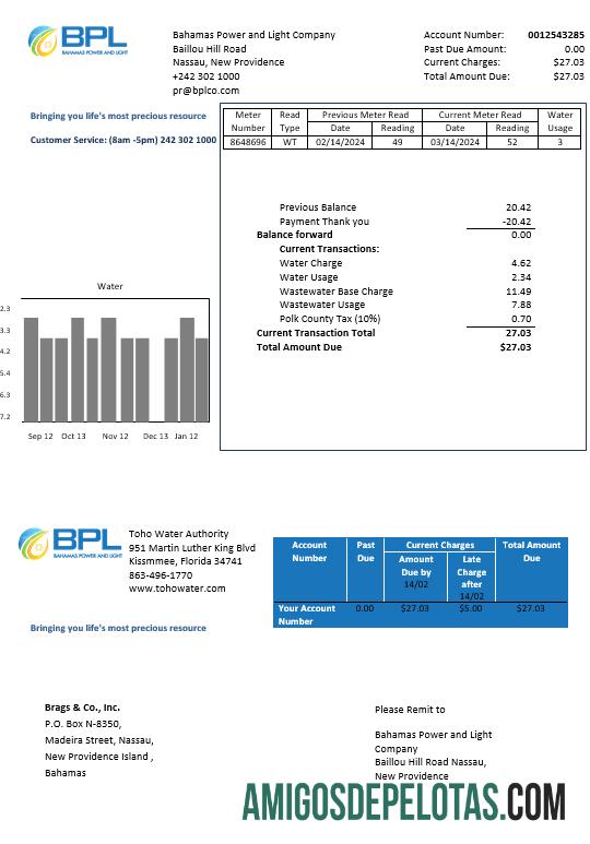 Premium Bahama Power and Light Perusahaan bisnis Tagihan Tagihan templat in Word and PDF format