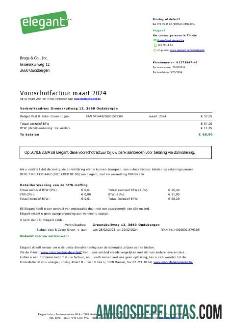 Profesional Belgia Elegant bisnis Tagihan Tagihan Word and PDF templat