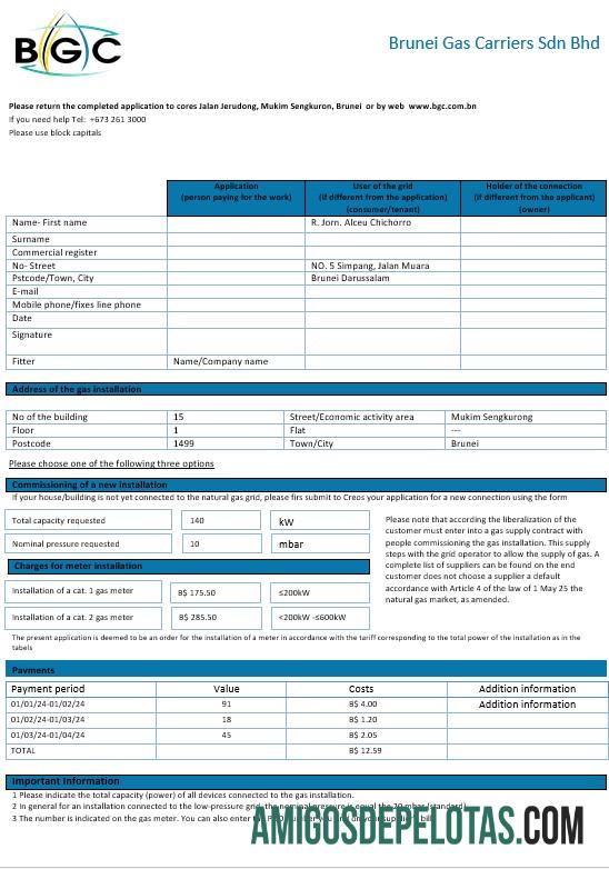 Premium Brunei Gas Carriers Gas bisnis Tagihan Tagihan templat in Word and PDF format