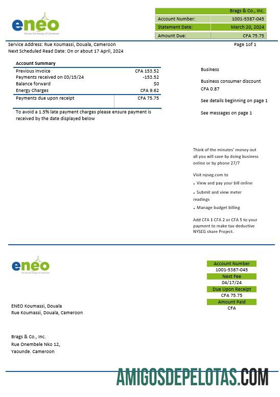 Premium Kamerun ENEO Listrik bisnis Tagihan Tagihan templat in Word and PDF format